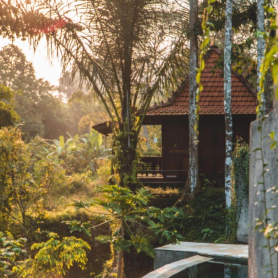The Jungle Villa Ubud Extérieur photo