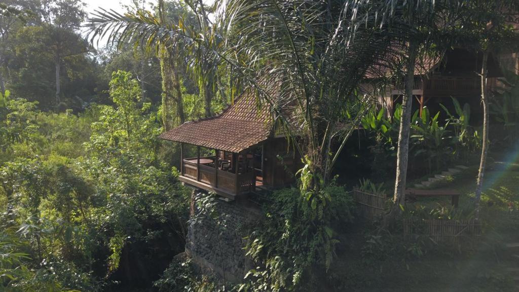 The Jungle Villa Ubud Extérieur photo